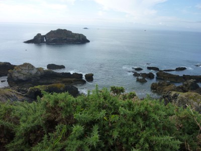 P1050763