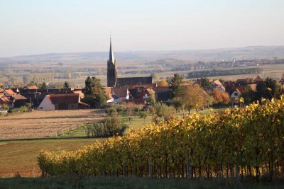 IMG_5081
