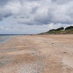 2021-08-01-17.28.15-1