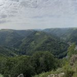 IMG_8168_CONV